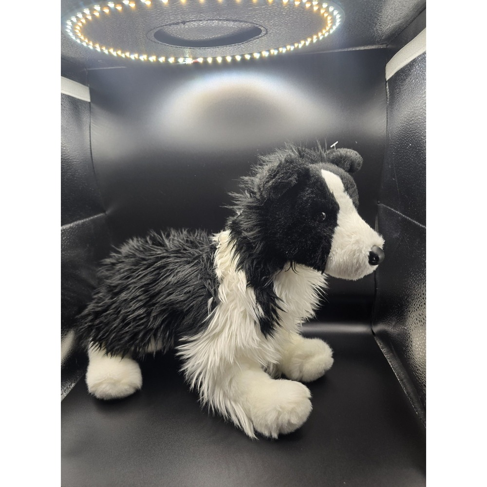 Douglas X Bass Pro Shop Chase Border Collie #2001BP